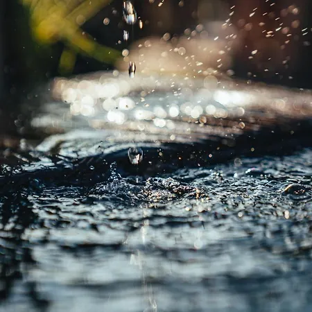 Alma&antonia דירה