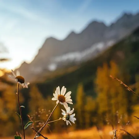דירה Alma&antonia שלאדמינג