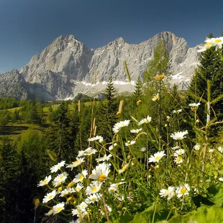 Lägenhet Alma&antonia