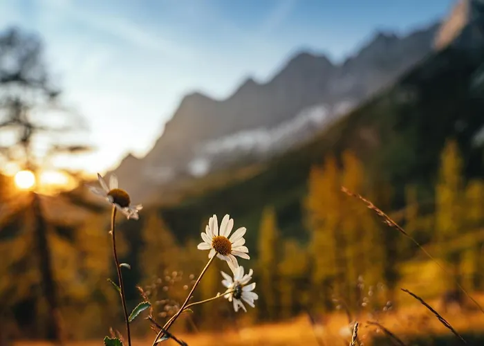 Апартаменты Alma&antonia Шладминг