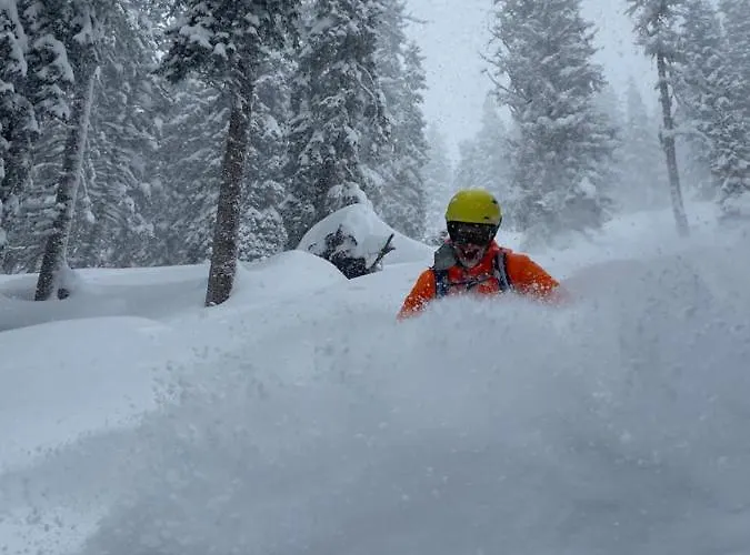 Apartment Alma&antonia *